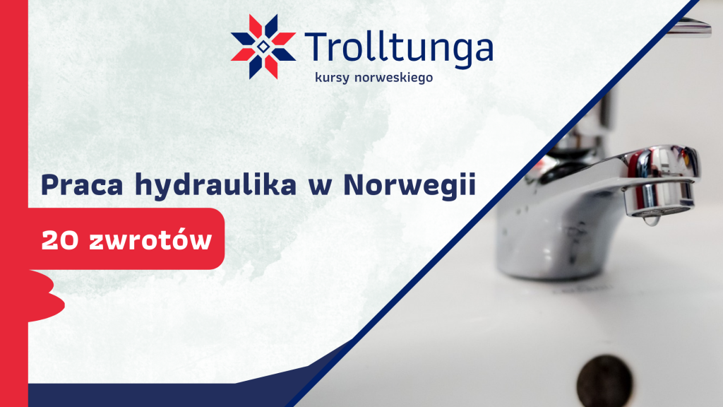 praca hydrualika w norwegii